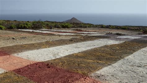 canary islands burberry.